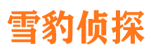 长岛市私家侦探公司